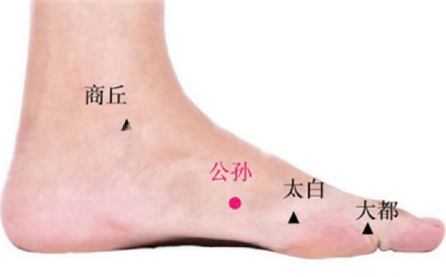 公孙穴的功效与作用