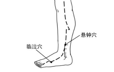 按摩悬钟穴的好处