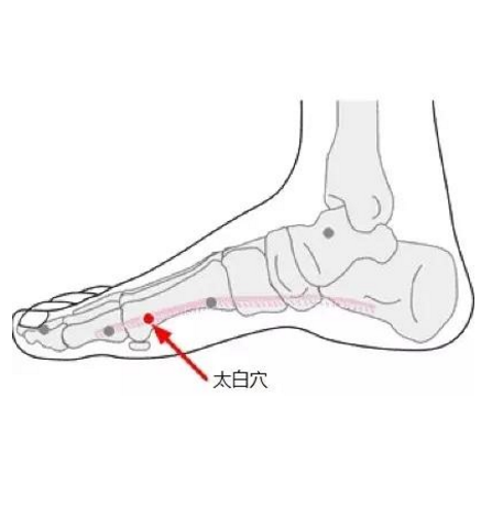 中医推荐身体特效穴“太白”可缓解治疗消化不良！