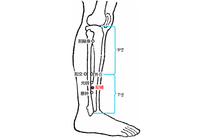 阳辅穴酸痛是怎么回事