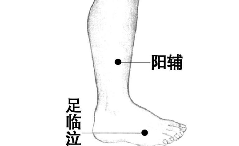 阳辅穴的功效与作用