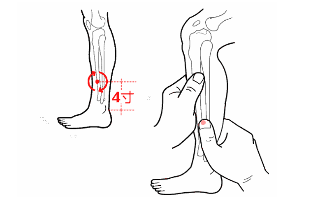 阳辅穴主治疾病有哪些