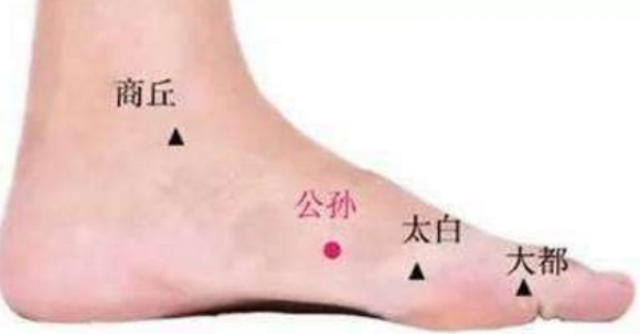 公孙穴位置
