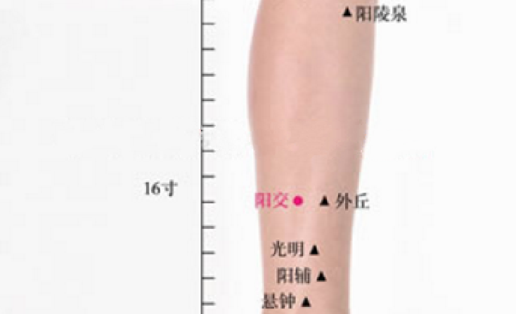 阳交穴主治疾病