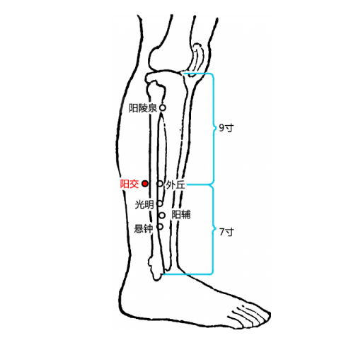 阳交穴疼怎么回事？它的准确位置及其功效与作用有哪些？