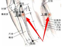 上廉穴的准确位置