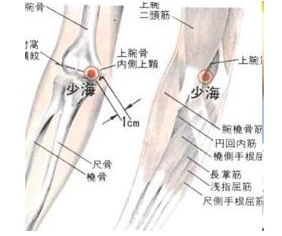 少海穴准确位置