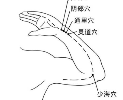 少海穴的图片