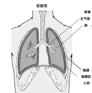 肺、胸膜阿米巴病会传染吗？它的症状表现及其治疗方法有哪些？