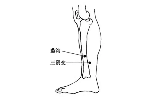 蠡沟穴穴位配伍