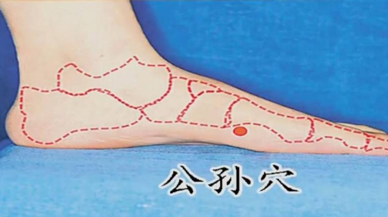 公孙穴穴位位置！