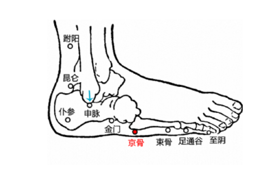 京骨穴位置