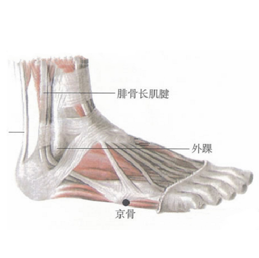 中医针刺京骨穴治疗肩背