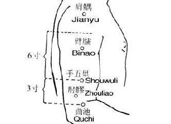 手五里的功效与作用