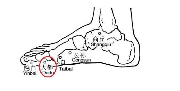 大都穴的功效与作用！