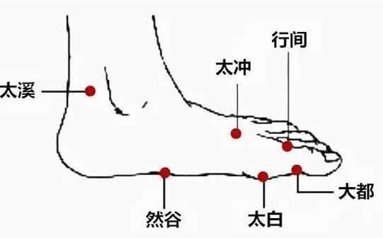 穴位配伍及应用！