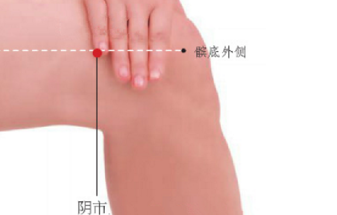 阴市穴的功效与作用