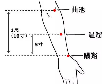 温溜穴位位置