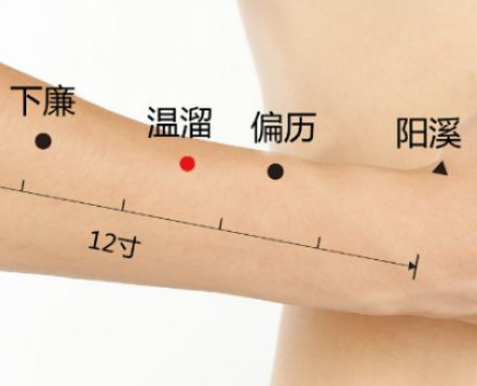 温溜穴的图片