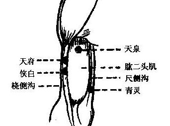 侠白穴的准确位置怎么找？中医按摩侠白穴的好处