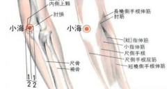 正确按摩小海穴可有效缓解贫血，小海穴准确位置怎么找？