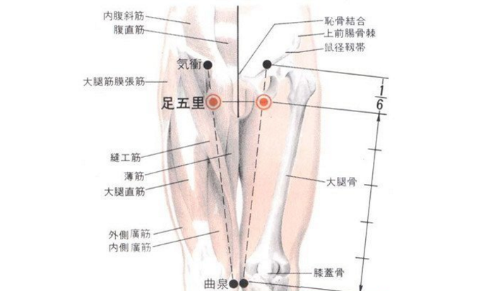 按摩足五里穴的好处