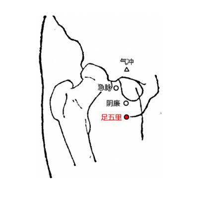 足五里穴的准确位置及其按摩的功效与作用有哪些？