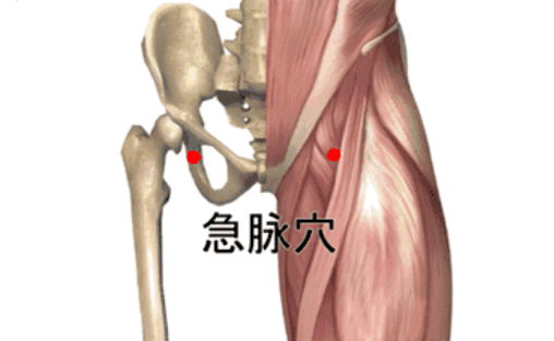 急脉穴的功效与作用