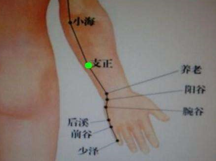 支正穴的图片