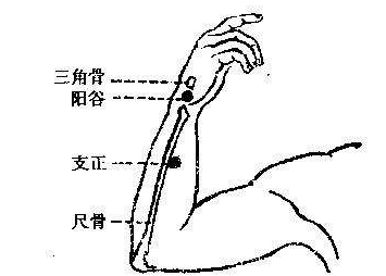 支正穴的功效与作用