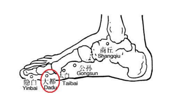 大都穴的功效与作用