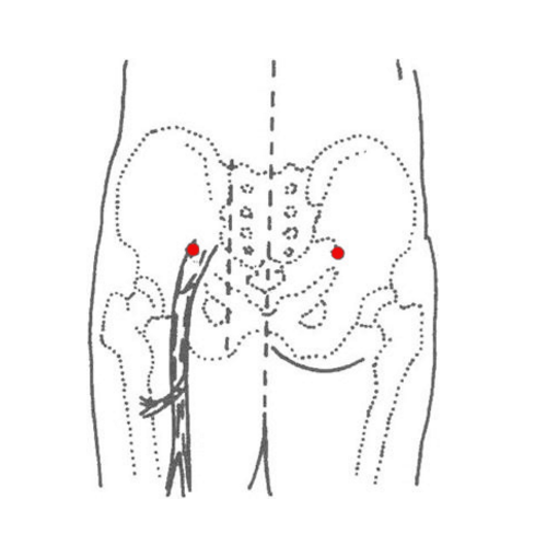 按摩秩边穴能治疗坐骨神经痛，它的准确位置及其功效与作用有哪些？