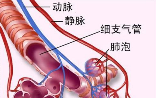 肺大泡的治疗方法