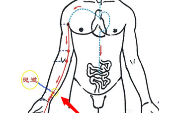 灵道穴位位置