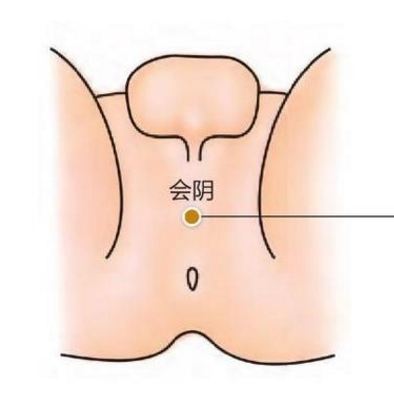 会阴穴的准确位置在哪？按摩会阴穴的好处有哪些？