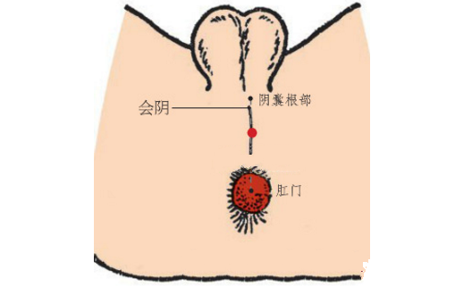 会阴穴的按摩方法