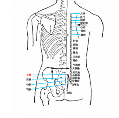 上髎穴的准确位置在哪？它的取穴方法及其功效与作用有哪些？