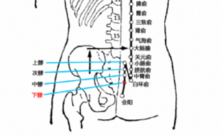 下髎穴穴位配伍