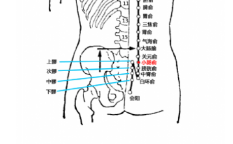 小肠俞穴的准确位置及按摩小肠俞穴的功效与作用有哪些？