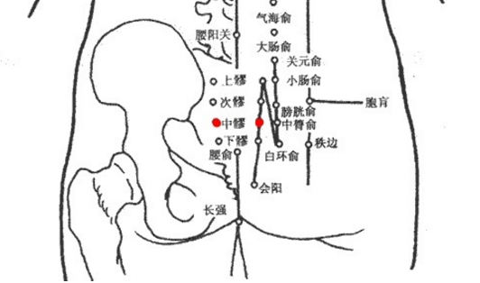 中髎穴的图片