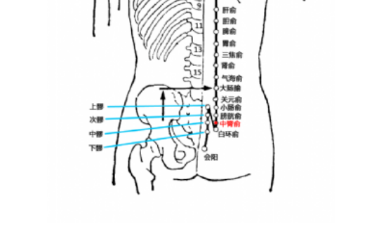 中膂俞穴的图片