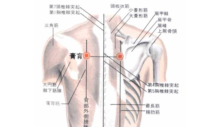 膏肓穴疼痛是怎么回事