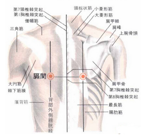 膈关穴疼痛怎么回事？膈关穴的准确位置及按摩膈关穴的功效与作用！