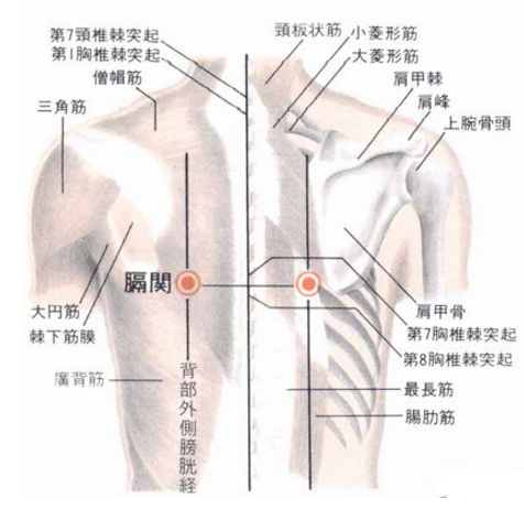 膈关穴疼痛怎么回事？膈