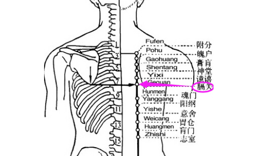 膈关穴位置