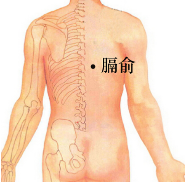 膈俞穴的准确位置在哪？按摩膈俞穴的功效与作用有哪些？