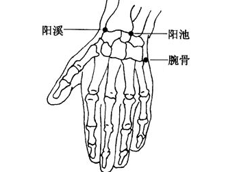 腕骨穴的位置怎么找？