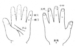 按摩中冲穴能有效预防老