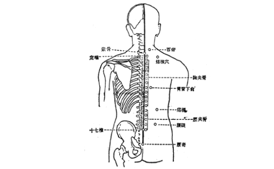夹脊穴主治疾病