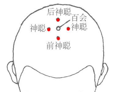 百会穴的功效与作用